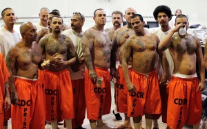 Inmates stand in a gymnasium where they are housed due to overcrowding at the California Institution for Men state prison in Chino